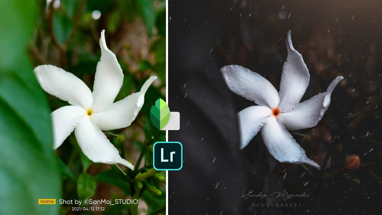 Lightroom Rain Effect Editing | Beautiful Flower Photography | Low Light Adjustment
