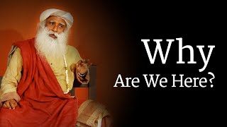 Why Are We Here? Sadhguru |  Shemaroo Spiritual Life