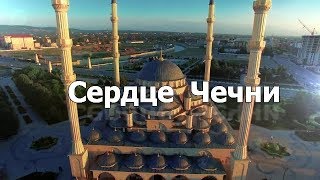 Сердце Чечни