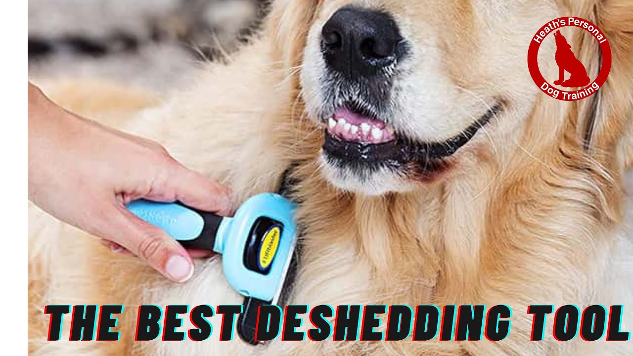The Best Deshedding Tool For Dogs