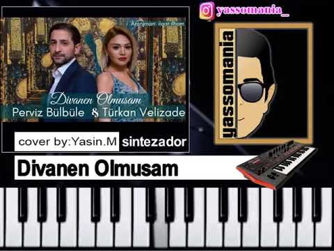 Turkan Velizade Perviz Bulbule divane olmusam sintez karaoke instrumental 1 deq