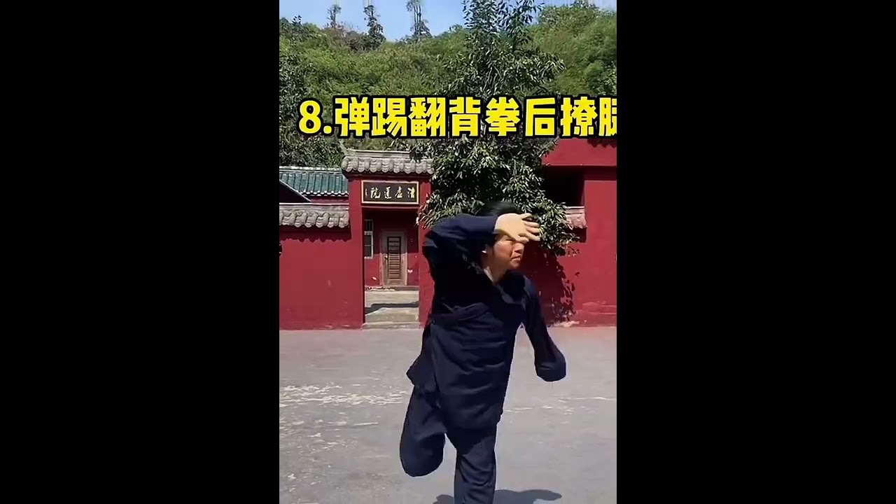 武当伏虎拳教学   