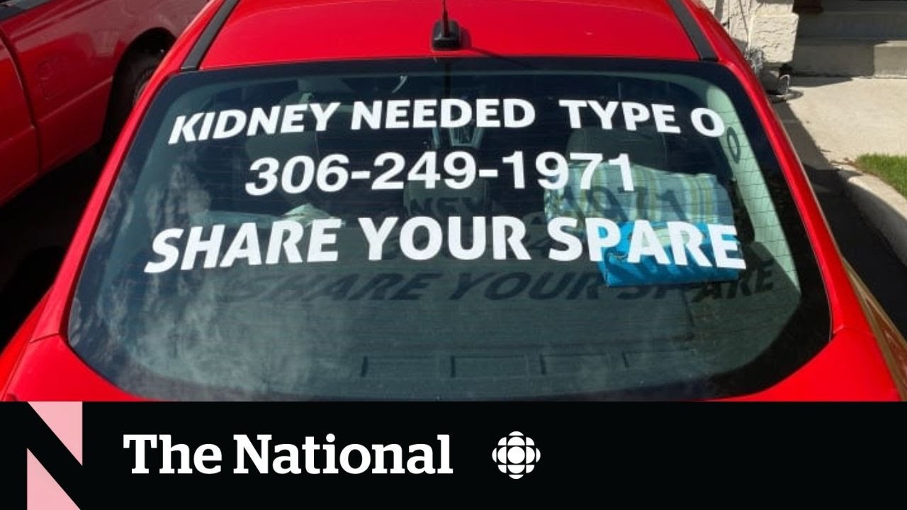 Car decal connects woman with kidney donor The Moment YouTube