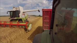 [Gopro] Moisson de l'escourgeon 2016