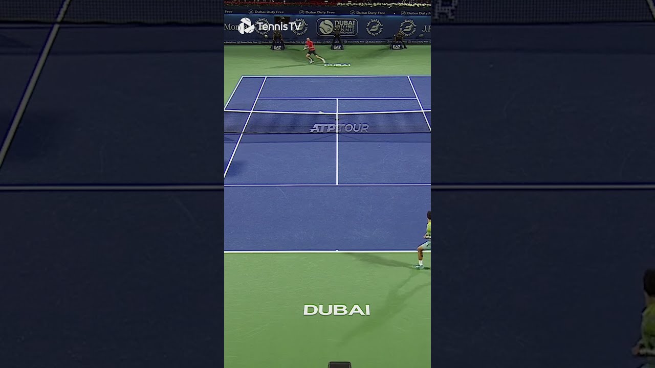 Djokovic vs Medvedev MADNESS!