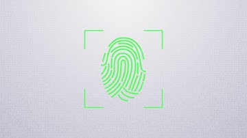 Set up Kameleo v1.2 with Proxifier and 911.re SOCKS5 proxies for 100% anonymity