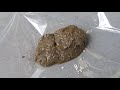 授業に活かせる動画集: 動物たちの食べかた⑥ふんをくらべてみよう