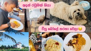චීසු බෝලේ තරහා වෙලා🐶❤️🏡අදත් රවුමක් ගියා❤️