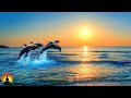 🔴 Study Music 24/7, Focus, Meditation, Concentration Music, Relaxing Music, Calm Music, Yoga, Study