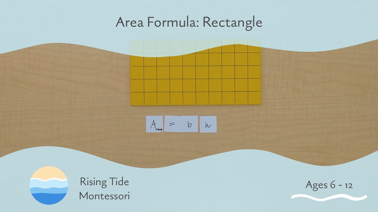 Area Formula: Rectangle - YouTube