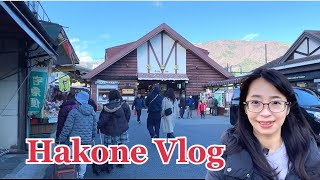 [Hakone Vlog] Owakudani and Gora