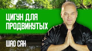 Ушу И Цигун Для Продвинутых Среднего И Зрелого Возраста | Занятие 3 | Шао Сан