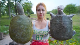 Cook turtle with eel soup and vegetable recipe and eat - Amazing cooking