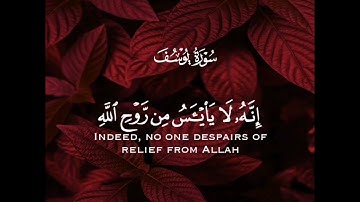 ولا تيأسوا من روح الله إنه لا ييأس من روح الله إلا القوم الكافرون | سورة يوسف | القارئ وديع اليمني