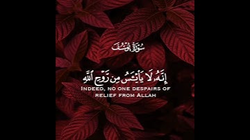 ولا تيأسوا من روح الله إنه لا ييأس من روح الله إلا القوم الكافرون | سورة يوسف | القارئ وديع اليمني