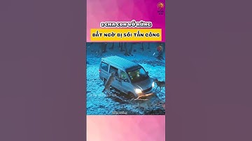 2 Cha con vô rừng nào ngờ bị bầy sói tấn công và cái kế