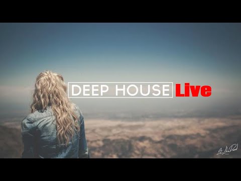 TROPICAL HOUSE - RADIO 24/7 LIVE ๐ด Mรบsica Relajante | Gym | Bares | Cafรฉ | Restaurantes | Shopping ๐ด
