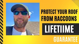 Ensure the Safety of Your Roof: Don't Settle for Inadequate Protection From Wildlife