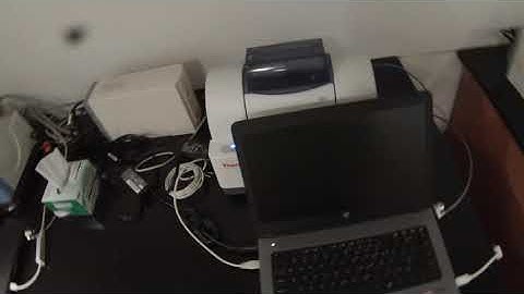 Trimyristin KBr pellet