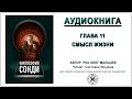 Философия Сонди аудиокнига Олег Мальцев | 11 Смысл жизни