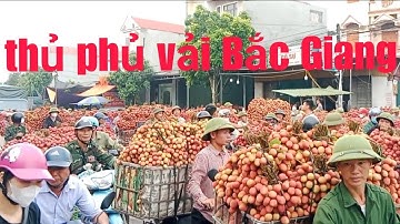 Chợ vải 17-6-2025 tại lục ngạn Bắc Giang