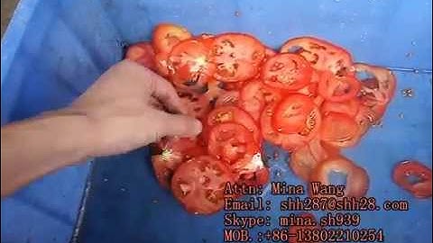 SH 100 vegetable /fruit cutting machine, tomato slicer machine, slicing,cutter
