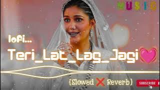 Teri lat lag jagi 💞 || Slowed ❌ Reverb || Bass Boosted Lofi ✨ || Sapna choudhary