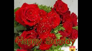 Happy Sunday gif