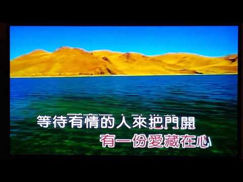 你不要那樣看着我的眼睛（蔡琴 唱）Jean cover