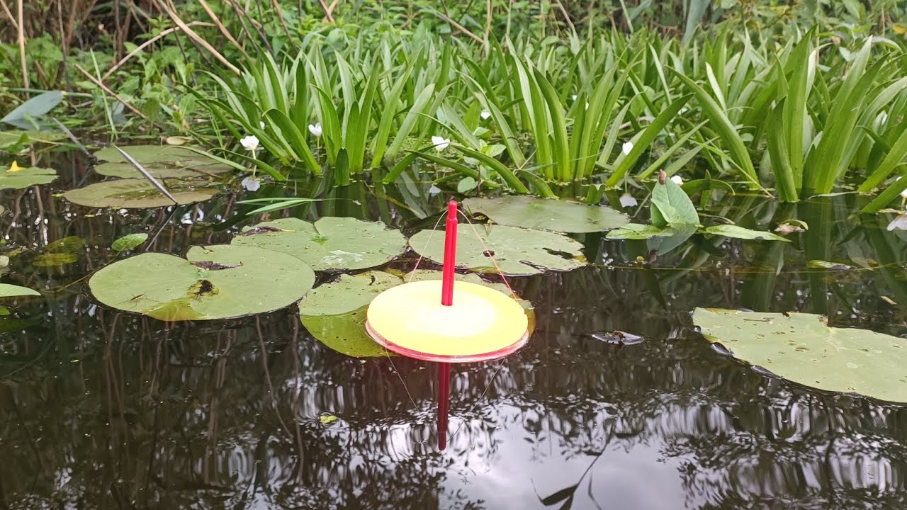 ПОКЛЁВКИ ЩУКИ В ГУСТОЙ ТРАВЕ.)Рыбалка на кружки. - YouTube