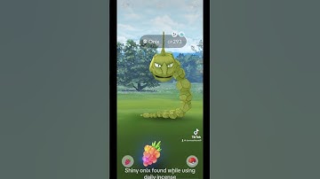 Found shiny onix while using daily incense