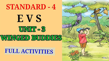 WINGED BUDDIES STD 4 EVS UNIT 3 | CLASS 4 EVS  CHAPTER 3 WINGED BUDDIES FULL ACTIVITIES