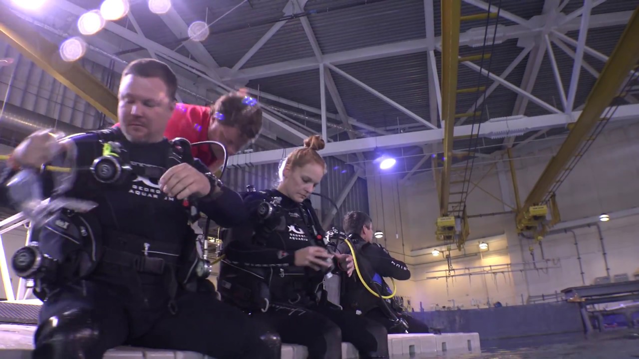 Diving Aquarium YouTube