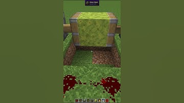 Infinite sponge in minecraft