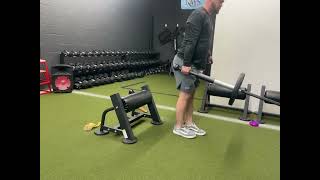LM single arm RFESS