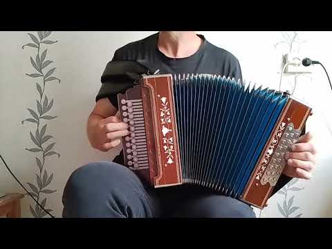 Моя седьмая гармонь