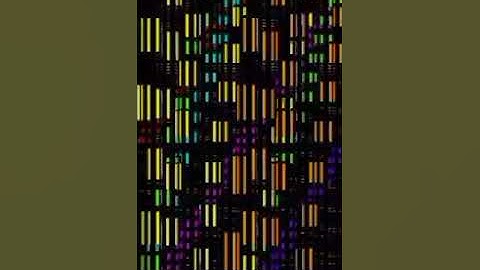 [Nut MIDI] ColorfulCminarpNut.mid