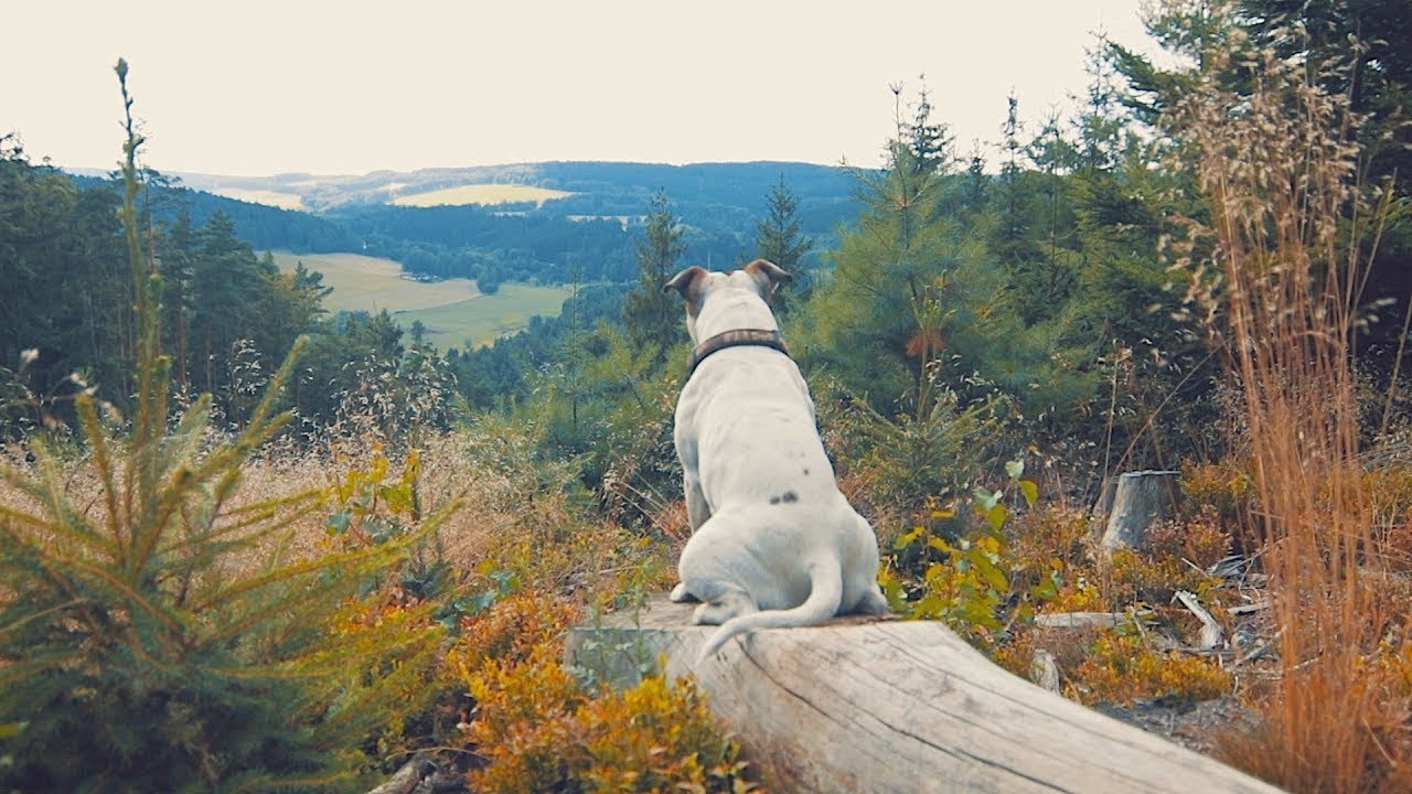 Aš... až budete chtít poznávat
