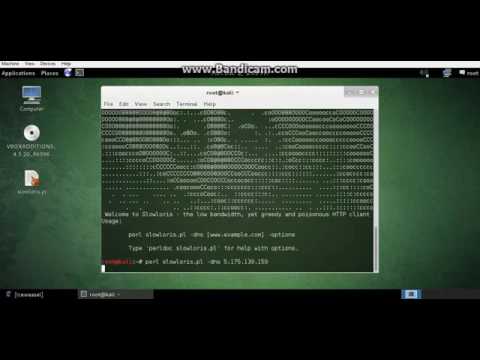 Kali Linux Doss Attack Slowloris