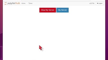 How to reset Jupyter environment when something went wrong