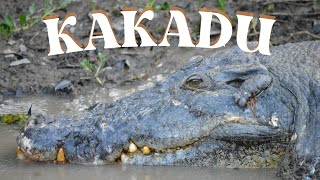Australia's wildest national park...KAKADU!