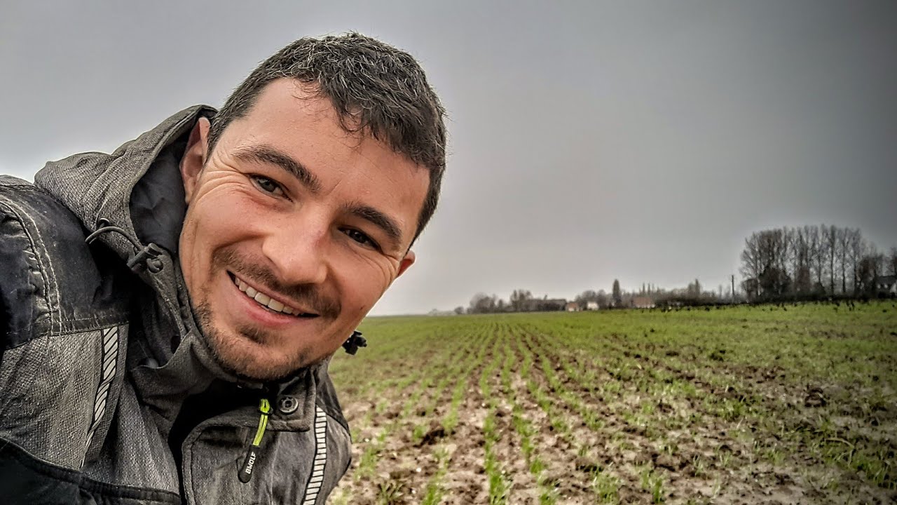 Labour et semis de blé en janvier, on profite des gelées