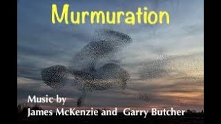 JCM 🎸 - 'Murmuration'. Ambient guitar by JCM and Garry Butcher. Shape-shifting flock of starlings.
