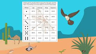 Make A Bug Math Bundle