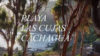 Playa Las Cujas Cachagua Chile Entradas Accesos