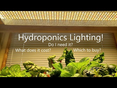 वीडियो: हाइड्रोपोनिक्स के लिए आपको कितने घंटे प्रकाश की आवश्यकता होती है?