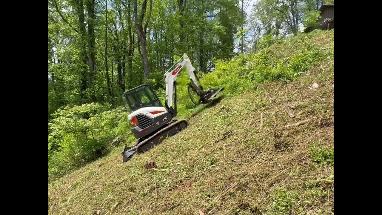 Brush clearing on steep hillside!