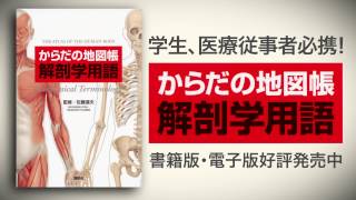 解剖学に必須の3000語！　からだの地図帳 解剖学用語