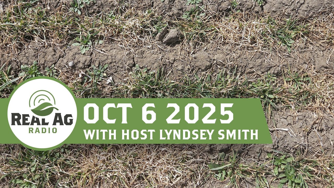 RealAg Radio: Пересушенные условия сбора урожая, роль борьбы с сорняками осенью и риск заражения ...