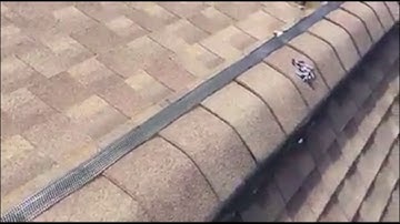 Beast Nuisance Wildlife installation of Ridge-Guard®